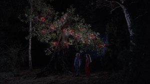 Adiós , caperucita roja