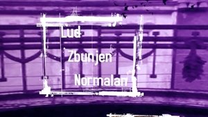 Lud, zbunjen, normalan