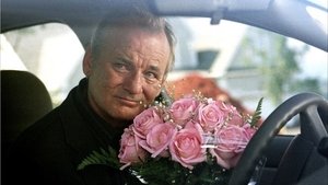 Flores rotas
