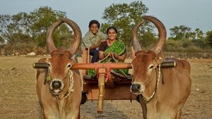 என்றாவது ஒரு நாள்