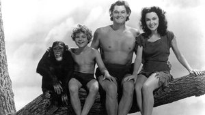 Tarzan's Secret Treasure