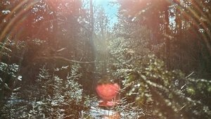 The Oxbow Cure