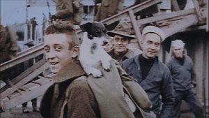 America's Great War 1917-1918