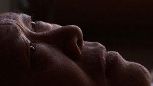 Your Day Is My Night