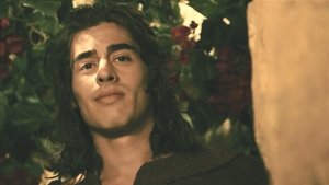 Noé - Uma Adaptação da Novela Gênesis