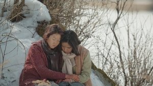 눈길