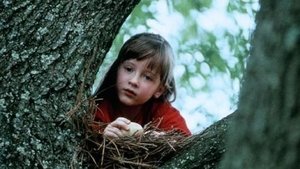El secreto de Sally