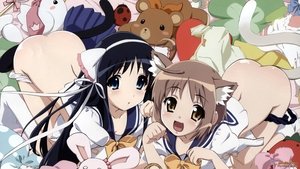 よつのは
