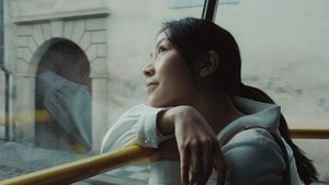 盛极一时的爱情