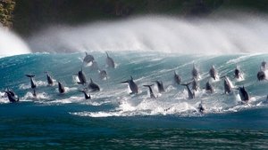 Planeta Azul: los océanos a examen