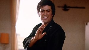 The Street Fighter 2: Return of the Street Fighter