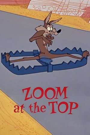 El Coyote y el Correcaminos: Y sigue cayendo