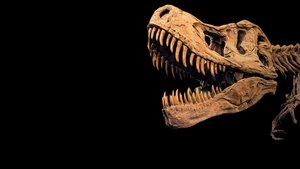 Dinos raros