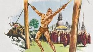 Tarzan's Three Challenges