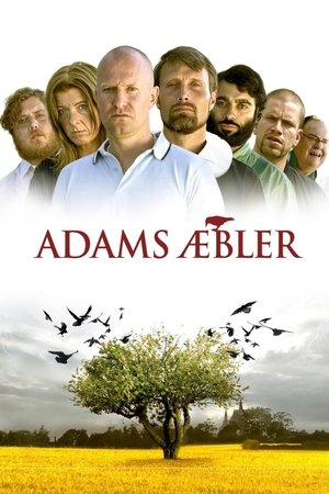 Las manzanas de Adam