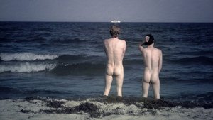 Torten im Sand