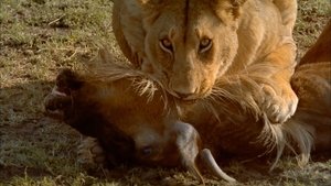 África - El Serengeti