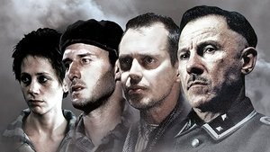 La zona gris