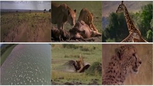 África - El Serengeti