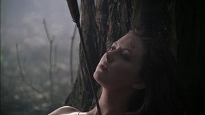 Beyond Sherwood Forest
