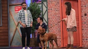 Çok Güzel Hareketler 2