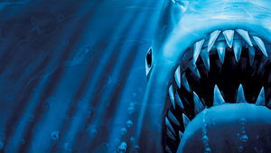 Tiburón 3