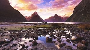 Nueva Zelanda Salvaje