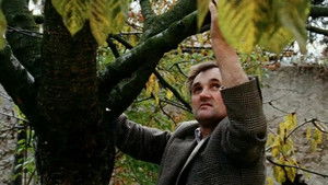 En el país del silencio y la oscuridad