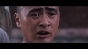 Disciples Of Shaolin