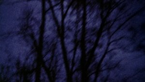 Anticipation of the Night