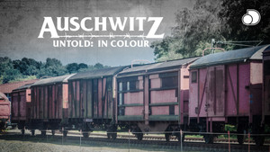 Auschwitz Untold: In Colour