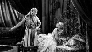 The Son of the Sheik