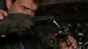 Somm: Into the Bottle