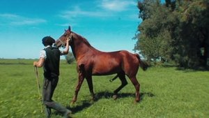 Jackass 2: Todavía más