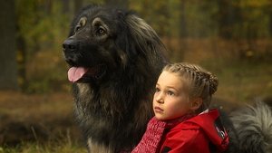 Stormheart