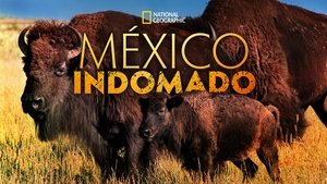 México indomable