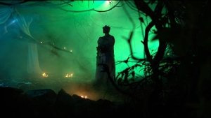 Garden of the Sleepwalkers