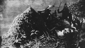 Les Aventures de Robinson Crusoé