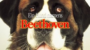 Beethoven: Uno más de la familia