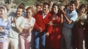 A Swingin' Summer