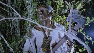 Demonios Negros