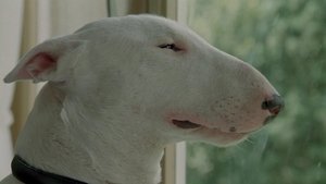 Baxter