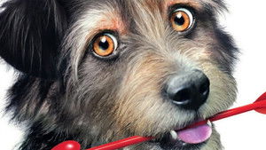 Gabe El Perro Cupido