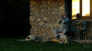 Voices from the Silence