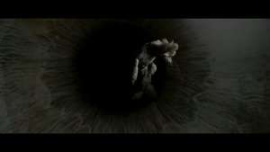 The Visit