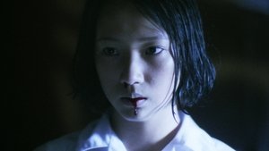 我的美麗與哀愁