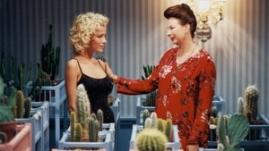 Everything Must Disappear