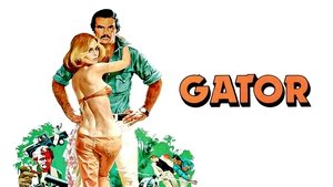 Gator el confidente