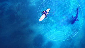 Investigation Shark Attack