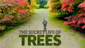 The Secret Life of Trees